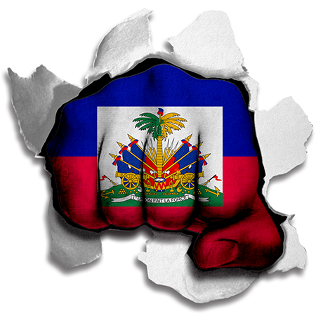 Fist Haiti Flag Logo vinyl decal